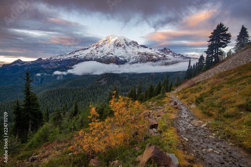 Obraz na płótnie Trail leading to Mount Rainier in fall
