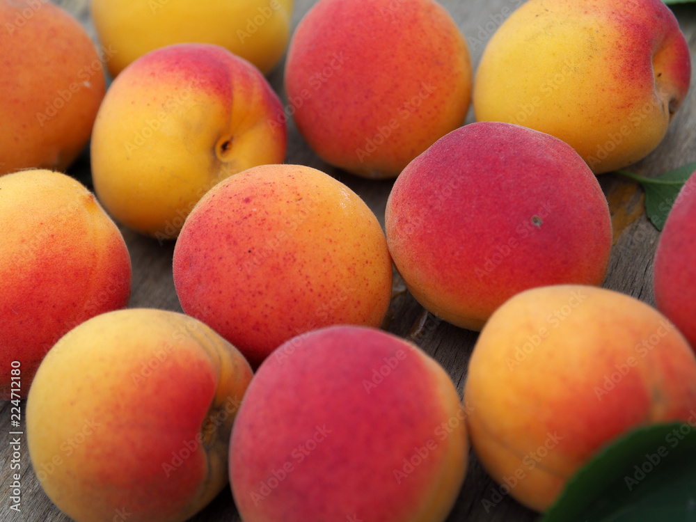 ripe apricots close-up. healthy, organic and fresh fruit. ripe apricots close-up. healthy, organic and fresh fruit.
