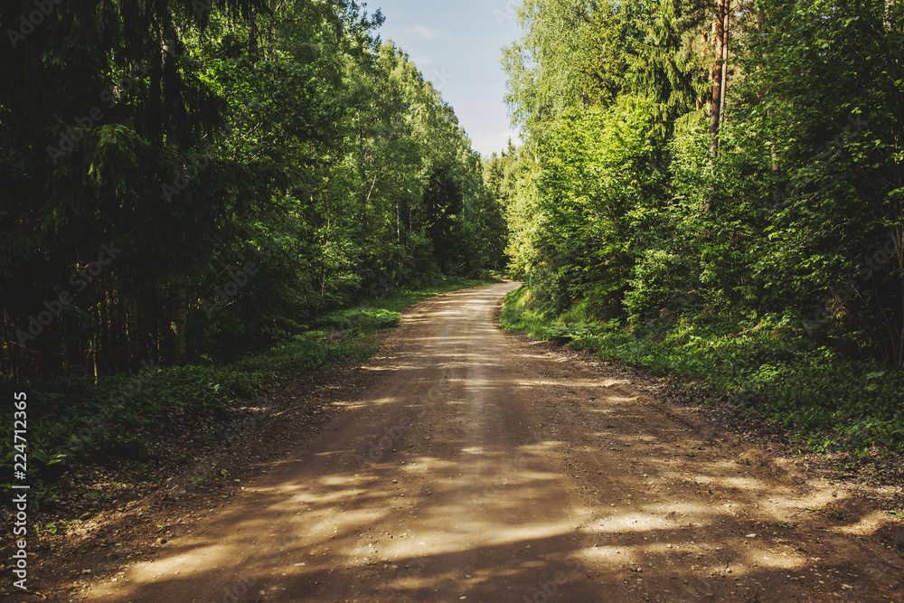 Fototapeta premium Dusty dirt road in a green forest