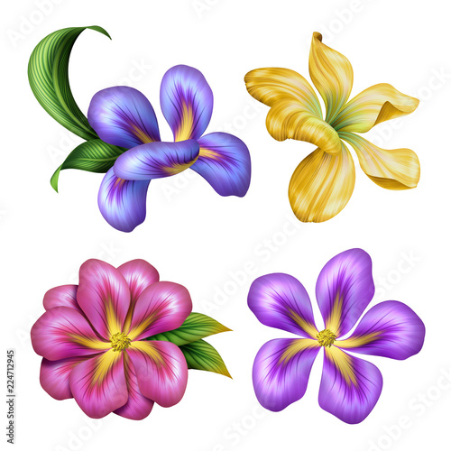 Fototapeta Naklejka Na Ścianę i Meble -  botanical illustration, beautiful colorful tropical flowers, floral clip art, design elements set, isolated on white background