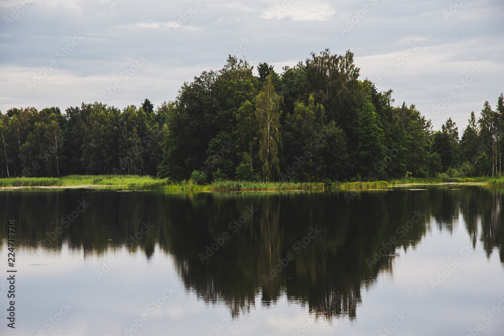 Forest next to a lake with a reflection in the water