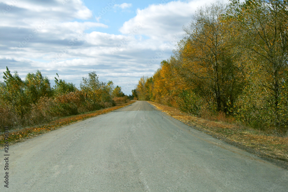 Fototapeta premium landscape with road