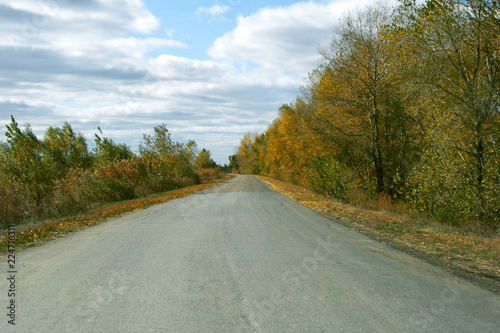 landscape with road