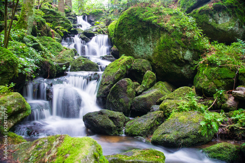 Fototapeta Naklejka Na Ścianę i Meble -  Wasserfall im Wald