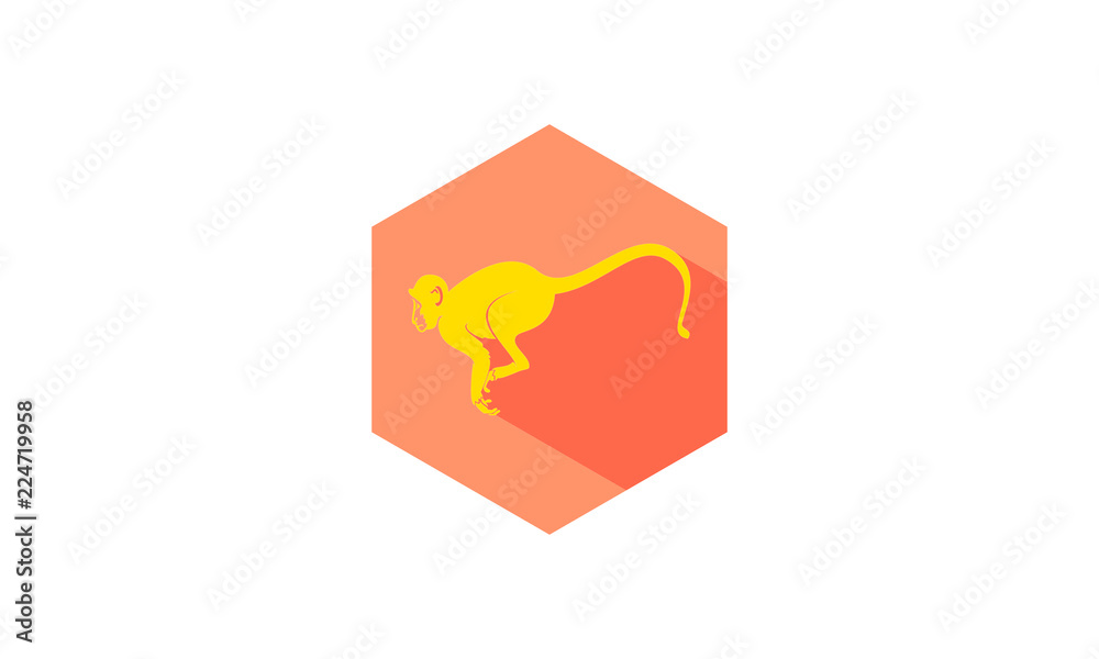 Monkey logo Monkey logo