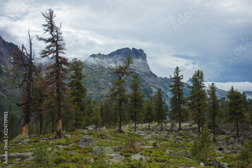 Very beautiful mountain landscape. The trip through the mountains. The Nature Of Siberia