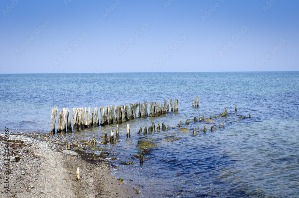 Baltic sea at graswarder of Heiligenhafen with wood bunns