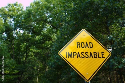 Yellow Road Impassable Street Warning Sign in Bottom Right Corner in Front of Green Forest