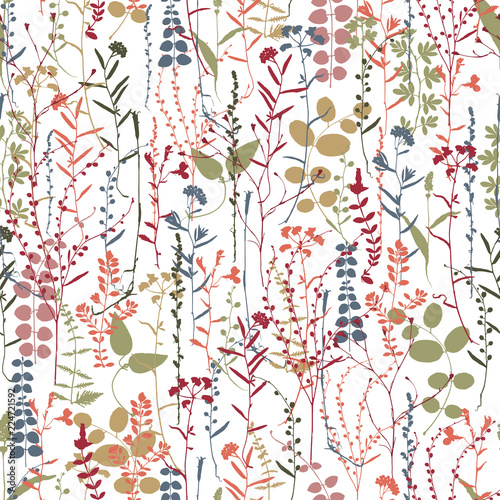 Vector silhouettes collection. Set of field flowers, herbs. Element of seamless pattern. Paper design. Print element.
