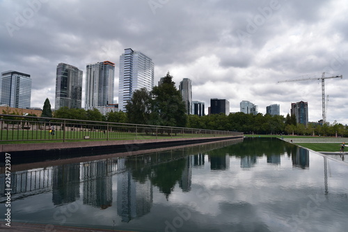 Bellevue Skyline