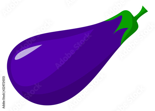 Big ripe eggplant