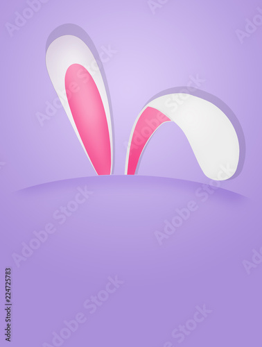 ears of bunny