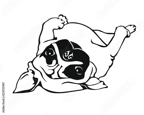 Sleeping Pug Baby - Mopsbaby