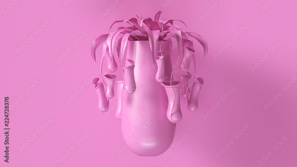 Pink Pitcher Plant with Pink Plant Pot
