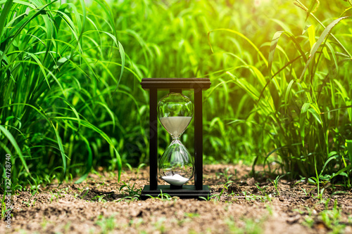 small hourglass in green grass field. - measuring the passing time and countdown to a deadline.