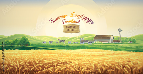 Summer rural landscape with cows and farm, and wheat field, dawn above hills, with tematic label.