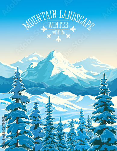 Winter mountain landscape with firs in the foreground.