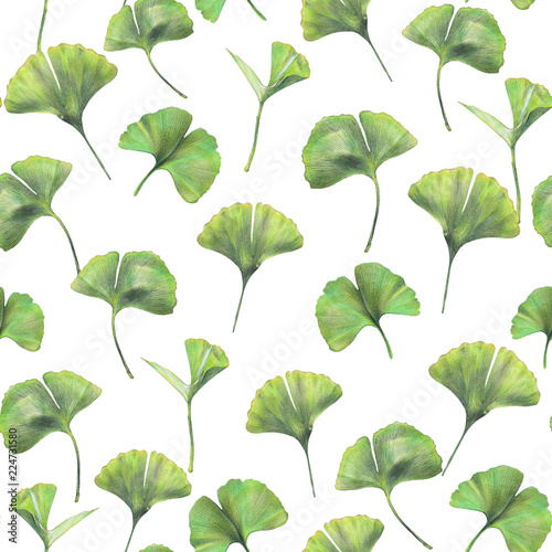 Seamless pattern with green leaves of ginkgo biloba. Hand drawn illustration with colored pencils. Botanical natural design for textiles, interior or some background.