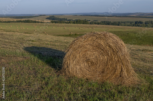 Hay bale on the field on a sunny day. Landscape with golden hay, blue sky, green trees. Harvesting in the fall in Russia. photo