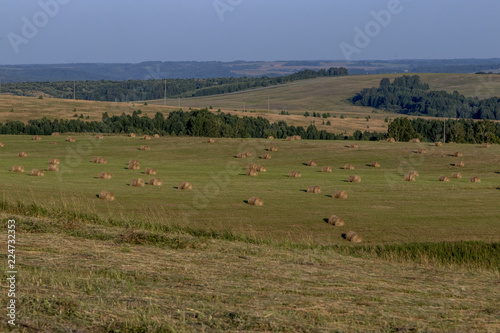 Hay bale on the field on a sunny day. Landscape with golden hay  blue sky  green trees. Harvesting in the fall in Russia.