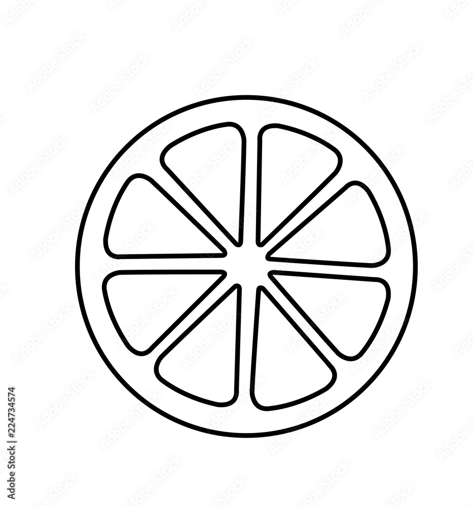 Orange icon illustration vector isolated on white background Orange icon illustration vector isolated on white background