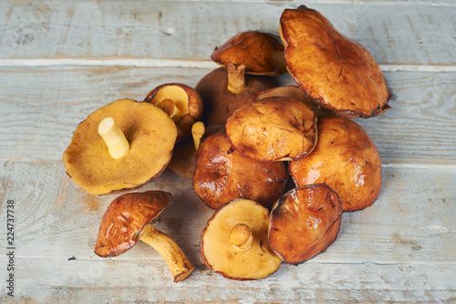 Fresh forest mushrooms on wooden table