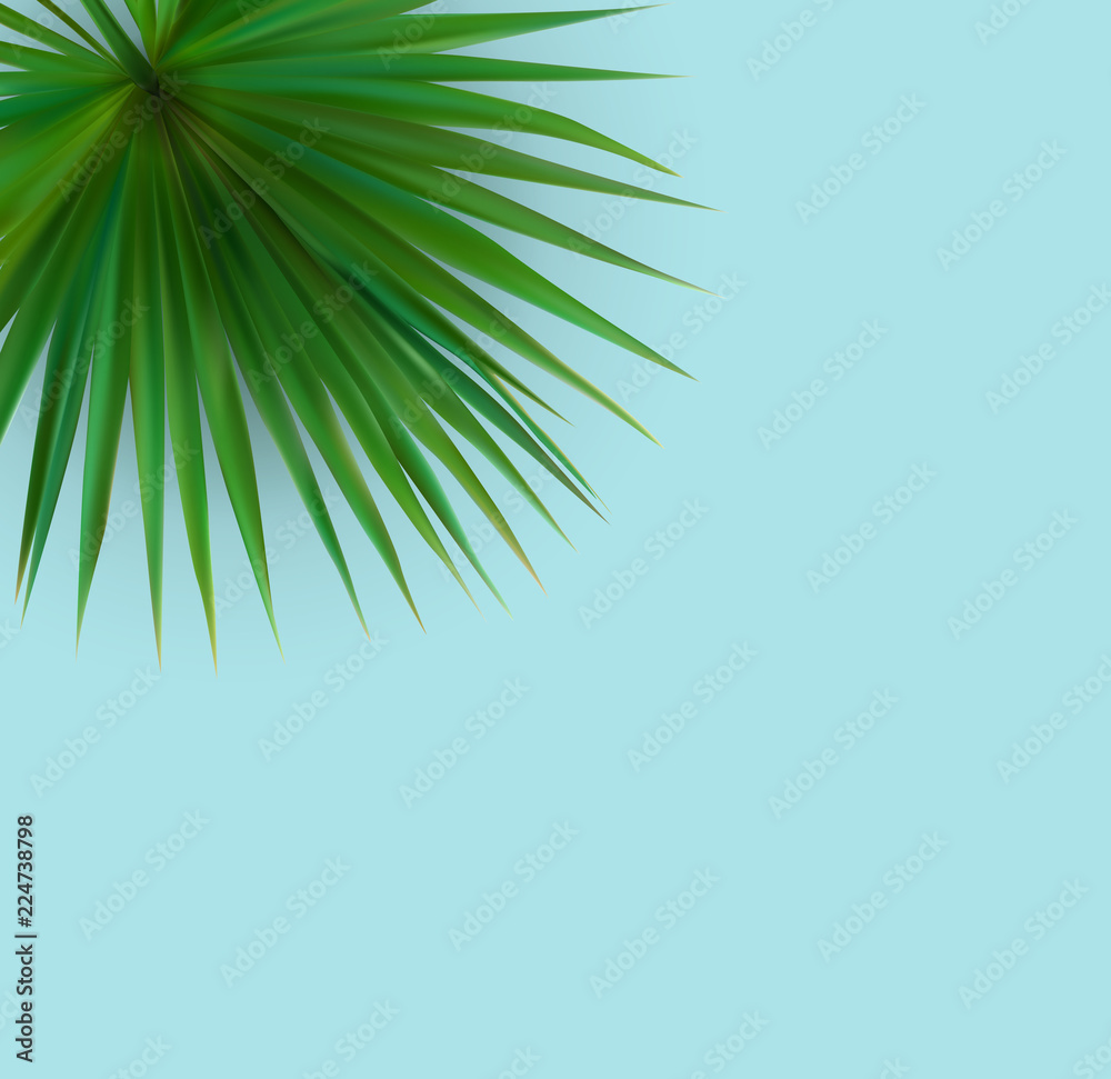Beautiful Palm Leaf Tropical Background. Vector Illustration
