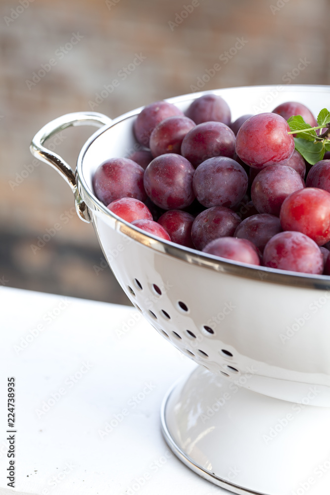 Fresh picked sweet plums in white enamel bowl Fresh picked sweet plums in white enamel bowl
