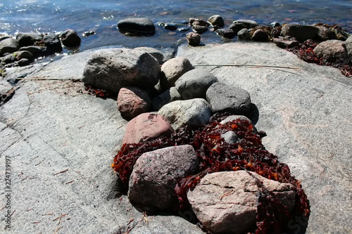 Stones with seaweed on sunny summer day at the Baltic Sea.