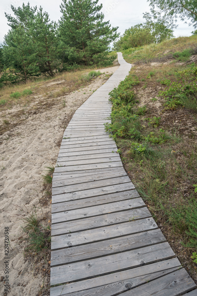 wooden forest path wooden forest path