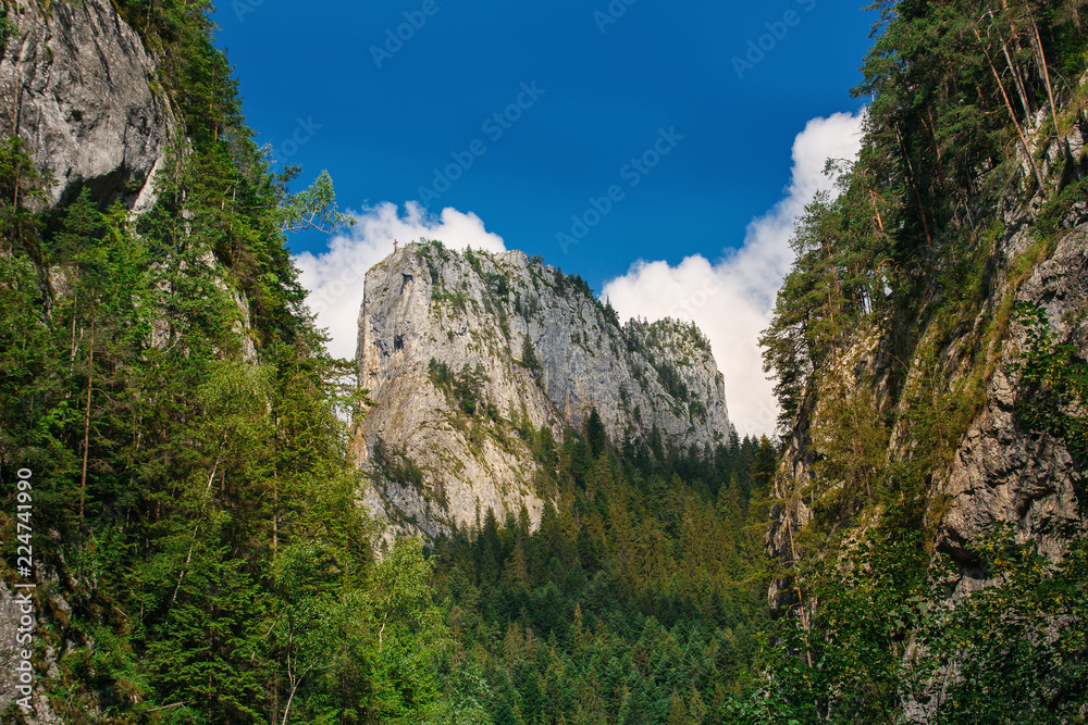 Sharp mountain peaks. Beautiful Mountain summer landscape.