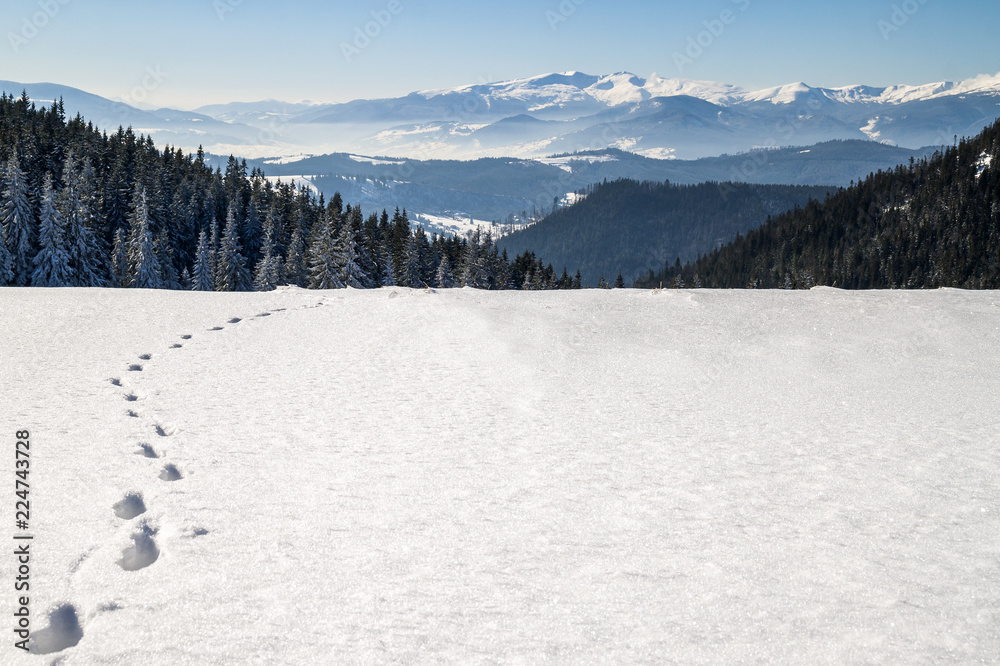 Naklejka premium Path with footprints in snow in winter mountains.