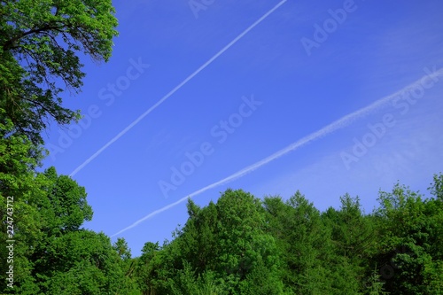 Beautiful view of the sky from the Park