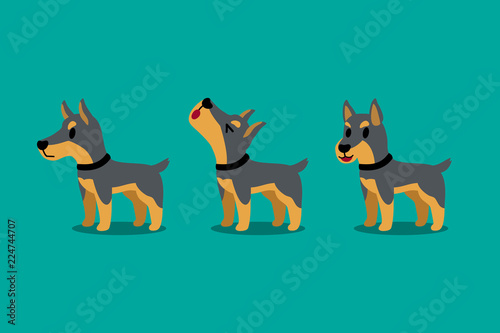 Set of vector cartoon character doberman dog poses for design.