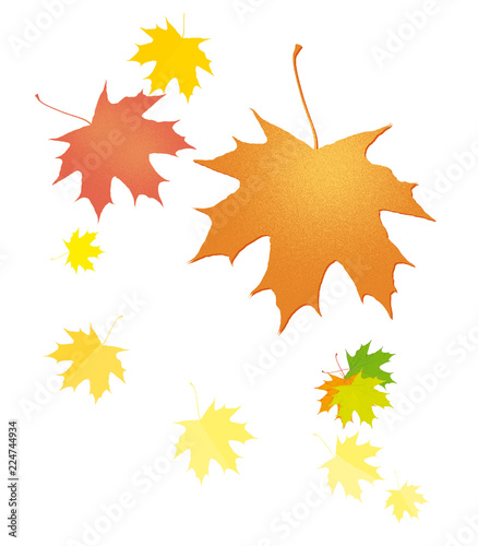 A set of falling autumn maple leaves. Autumn. Illustration. Isolated on white background