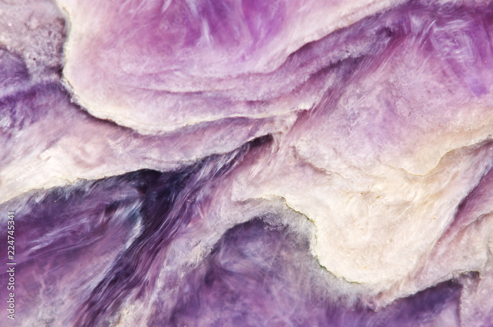 Lilac background. Charoite. Mineral. Crystal. Natural abstract b Lilac background. Charoite. Mineral. Crystal. Natural abstract b