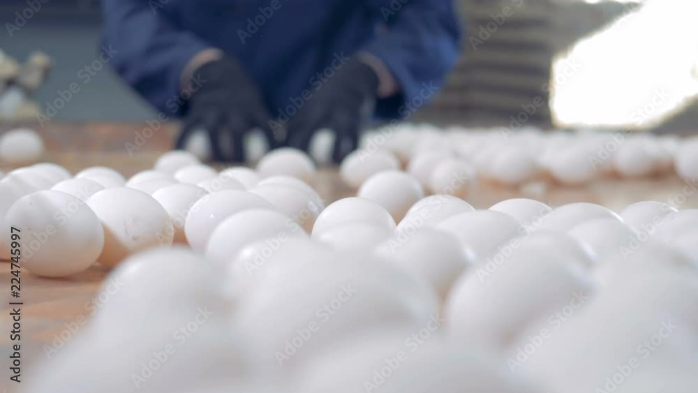 Clean eggs sorted at a farm, close up. People working at a poultry farm, packing eggs. Clean eggs sorted at a farm, close up. People working at a poultry farm, packing eggs.