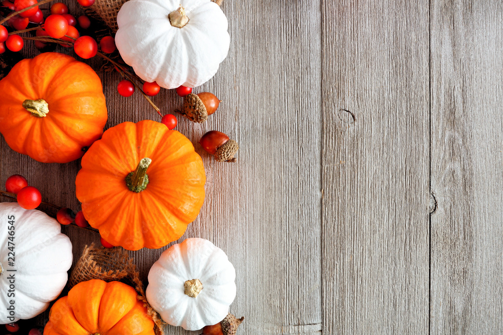 Autumn side border of orange and white pumpkins and berries on a light ...