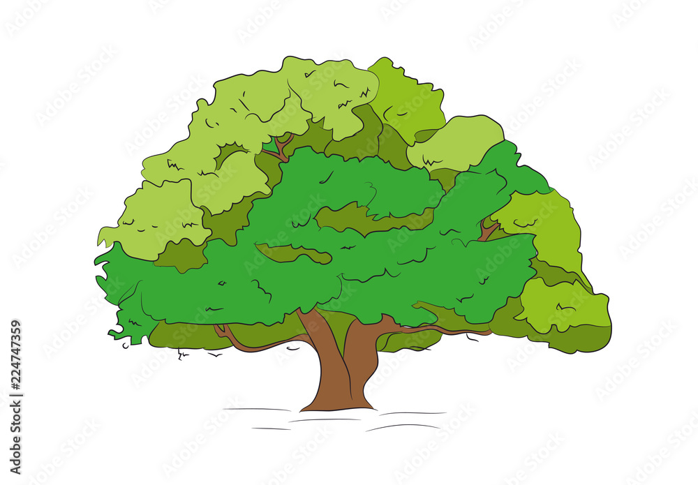 big tree drawing color, vector, Stock Vector | Adobe Stock