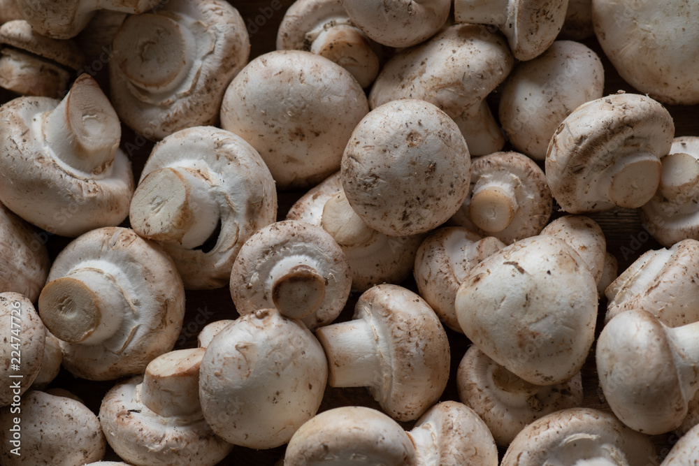 Closeup of freshly picked up with the remains of soil, unwashed mushrooms - champignons, vegetarian menu. Closeup of freshly picked up with the remains of soil, unwashed mushrooms - champignons, vegetarian menu.
