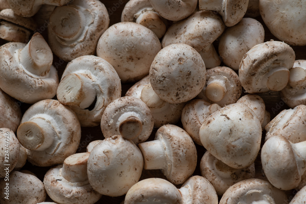 Closeup of freshly picked up with the remains of soil, unwashed mushrooms - champignons,  vegetarian menu.