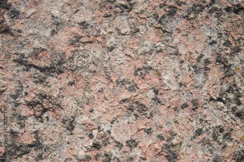 the homogeneous texture of the stone