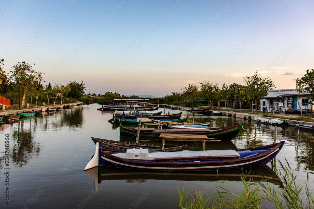 Rice boats anchored in a small harbour