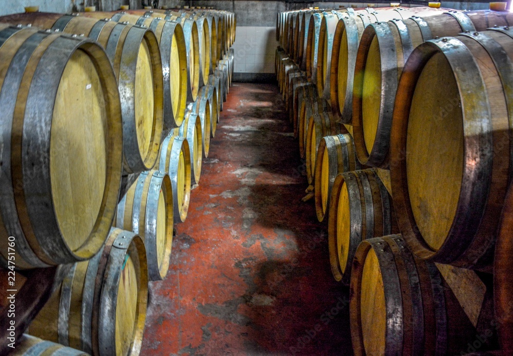 A stack of wine barrels at a vineyard in Olympia Land Winery, Olympia, Greece