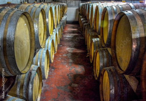 A stack of wine barrels at a vineyard in Olympia Land Winery, Olympia, Greece