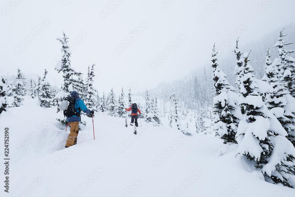 Skiers hiking in the backcountry to find powder