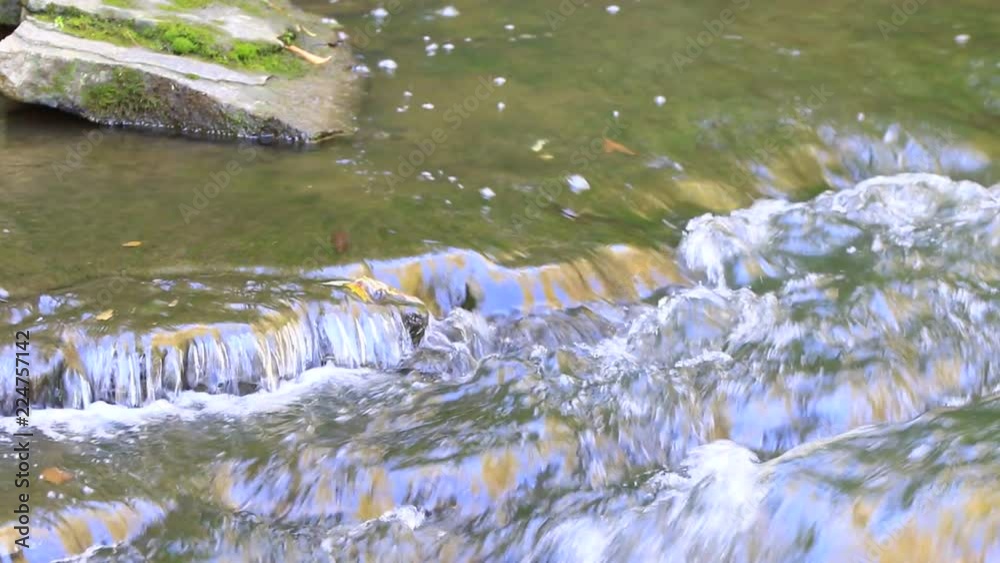 rivière