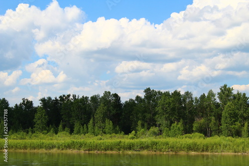 green field and blue sky