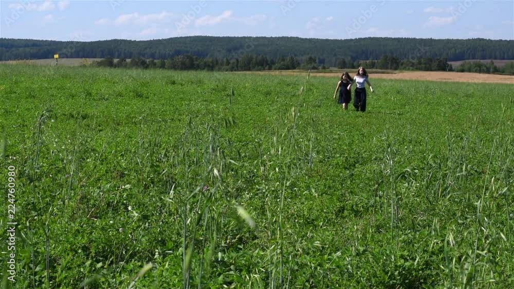 Vacation in the countryside/In the foreground is a large field overgrown with grass The girl and her younger sister go and run on the green field Vacation in the countryside/In the foreground is a large field overgrown with grass The girl and her younger sister go and run on the green field