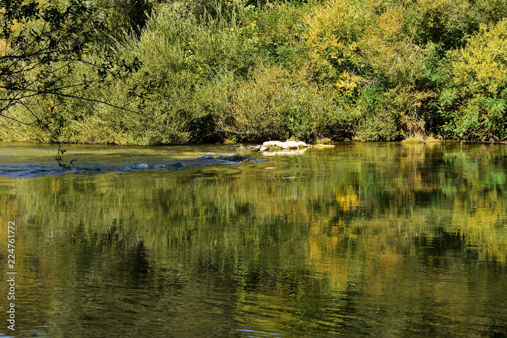 Beautiful green river whit forest reflection at the surface Beautiful green river whit forest reflection at the surface